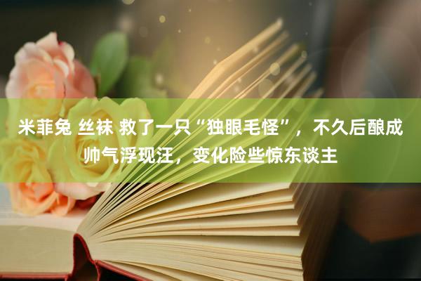 米菲兔 丝袜 救了一只“独眼毛怪”，不久后酿成帅气浮现汪，变化险些惊东谈主