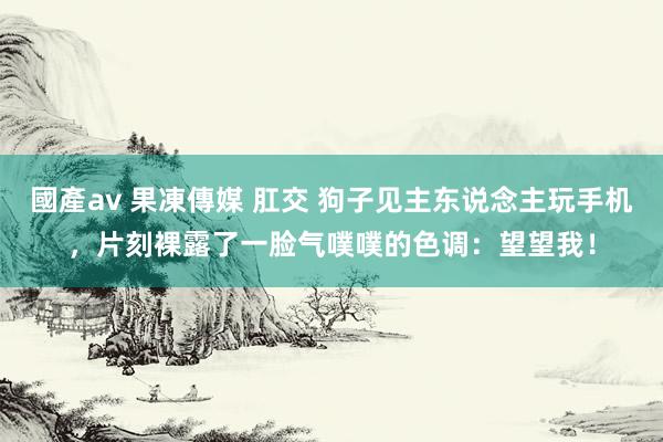 國產av 果凍傳媒 肛交 狗子见主东说念主玩手机，片刻裸露了一脸气噗噗的色调：望望我！