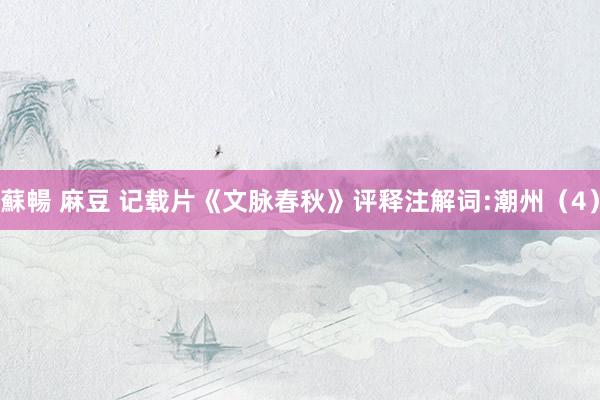 蘇暢 麻豆 记载片《文脉春秋》评释注解词:潮州（4）