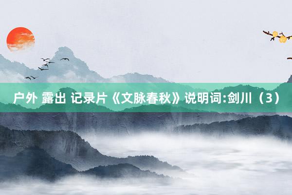 户外 露出 记录片《文脉春秋》说明词:剑川（3）
