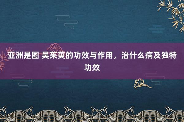 亚洲是图 吴茱萸的功效与作用，治什么病及独特功效