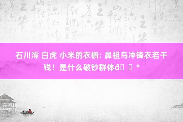 石川澪 白虎 小米的衣橱: 鼻祖鸟冲锋衣若干钱！是什么破钞群体😰